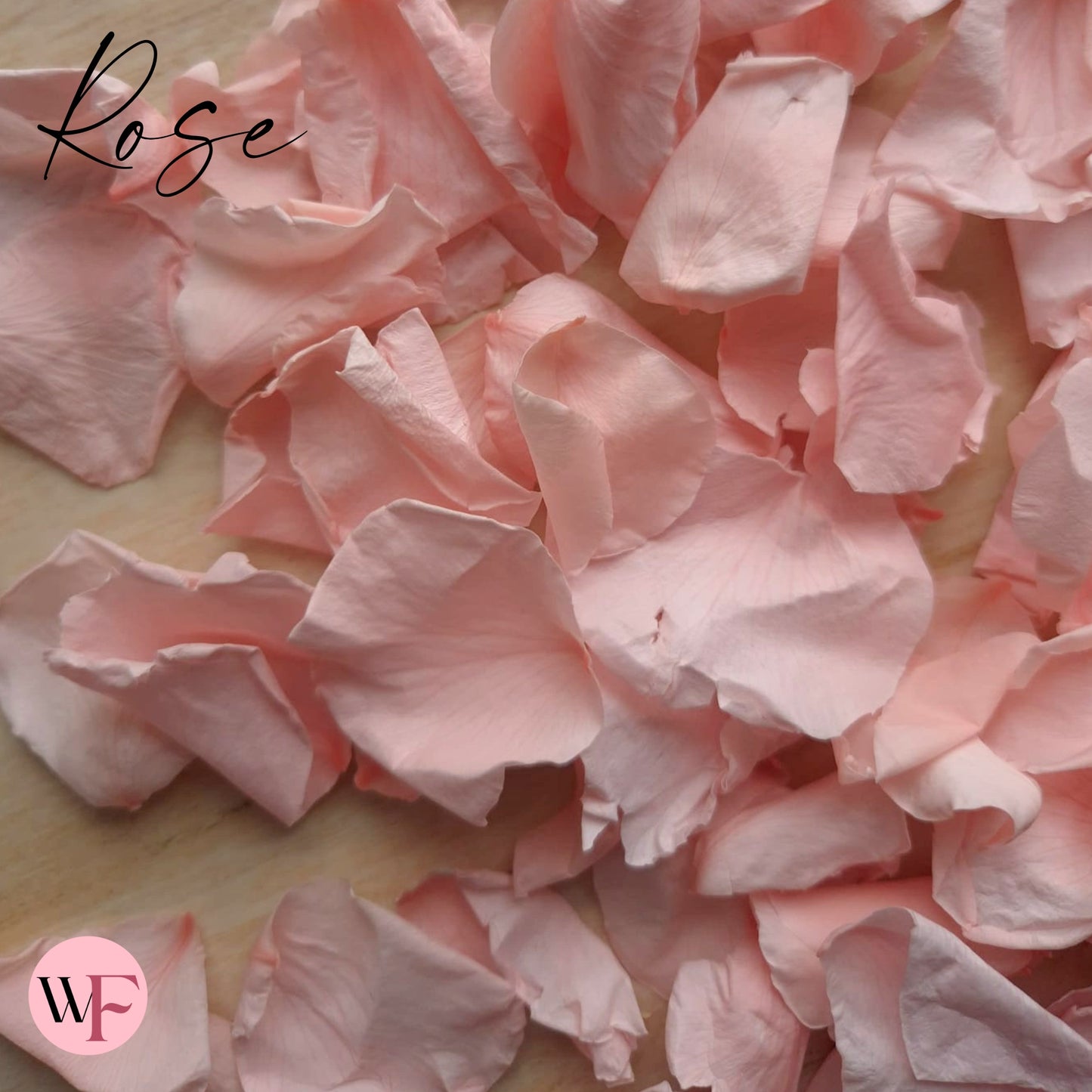 Rose Petals - Light Pink