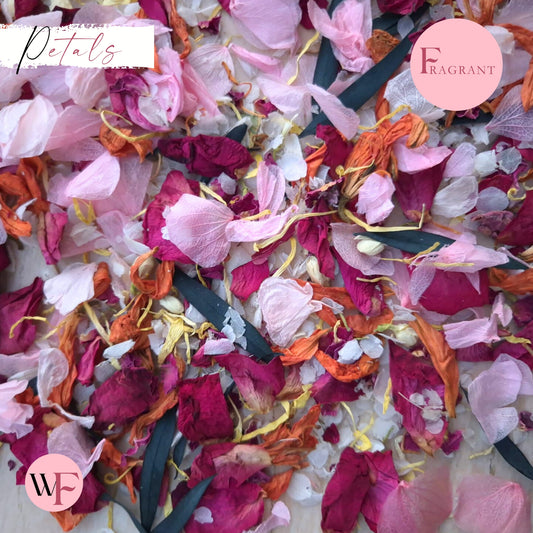 Petals - Pretty Pink Multi Mix