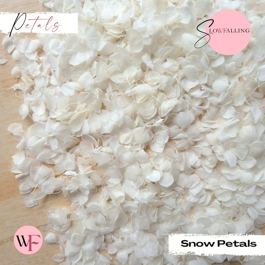 Petal Confetti - Snow Petals