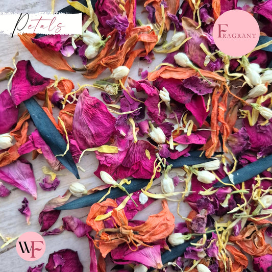 Petals - Lily Rose Eucalyptus Mix