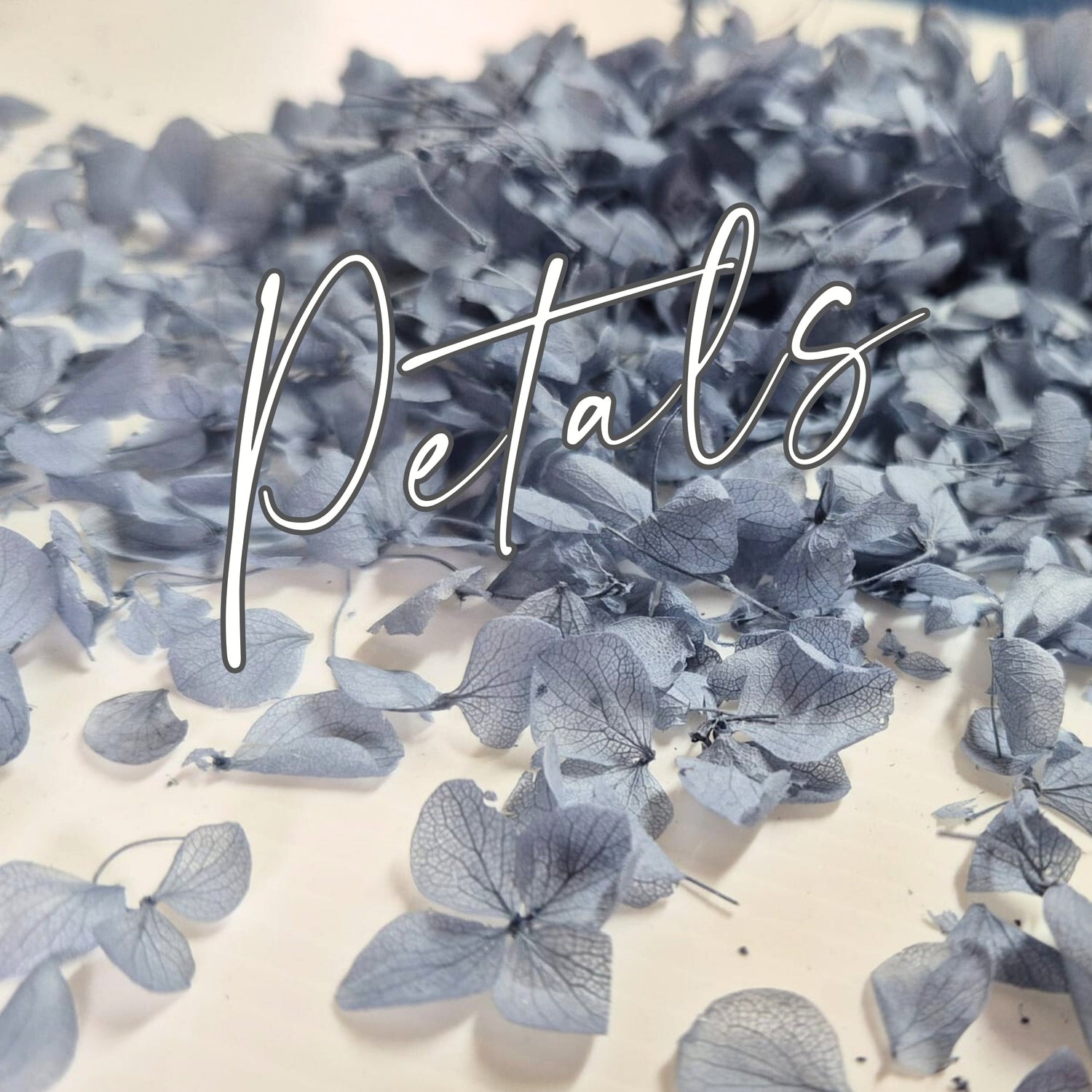 Best selling & most popular Petal Confetti