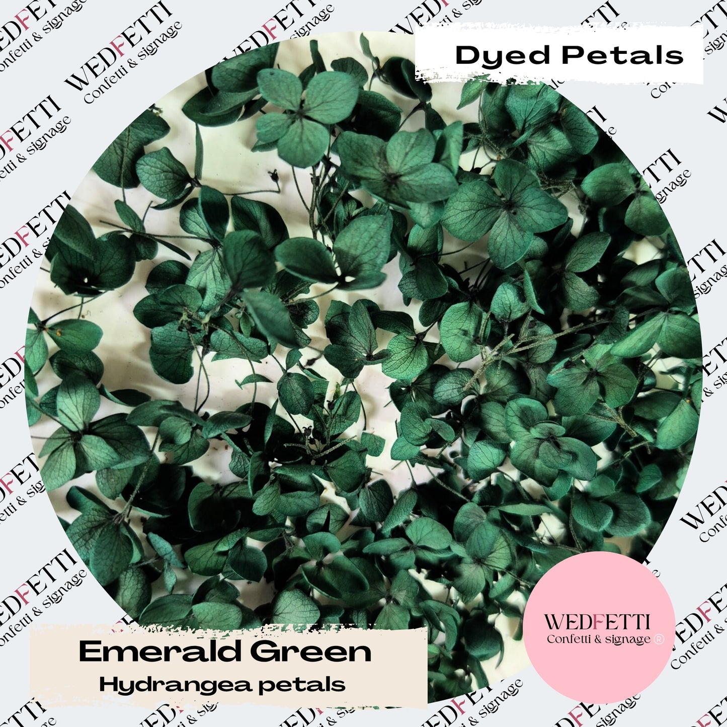 Emerald Green hydrangea petals (Dyed)