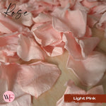 Rose Petals - Light Pink
