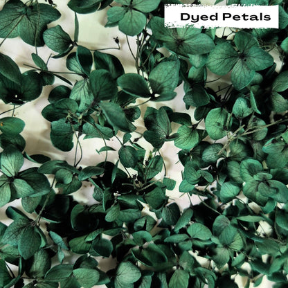 Emerald Green hydrangea petals (Dyed)