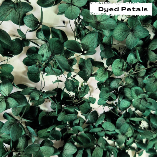 Emerald Green hydrangea petals (Dyed)