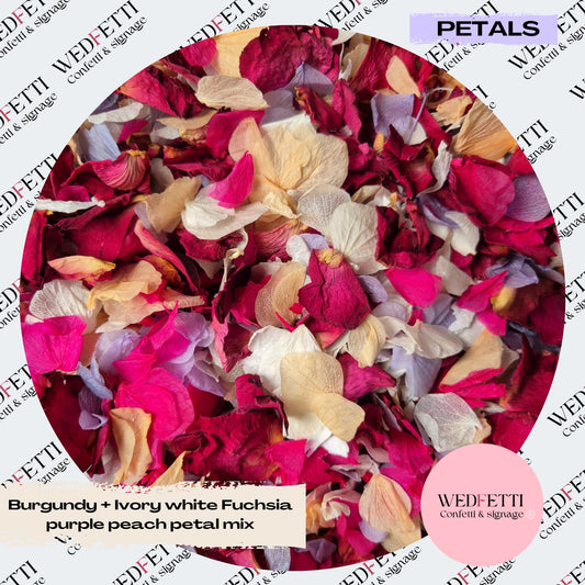 Burgundy Rose petal + Ivory white Fuschia Purple Peach Petal mix