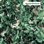 Emerald Green hydrangea petals (Dyed)