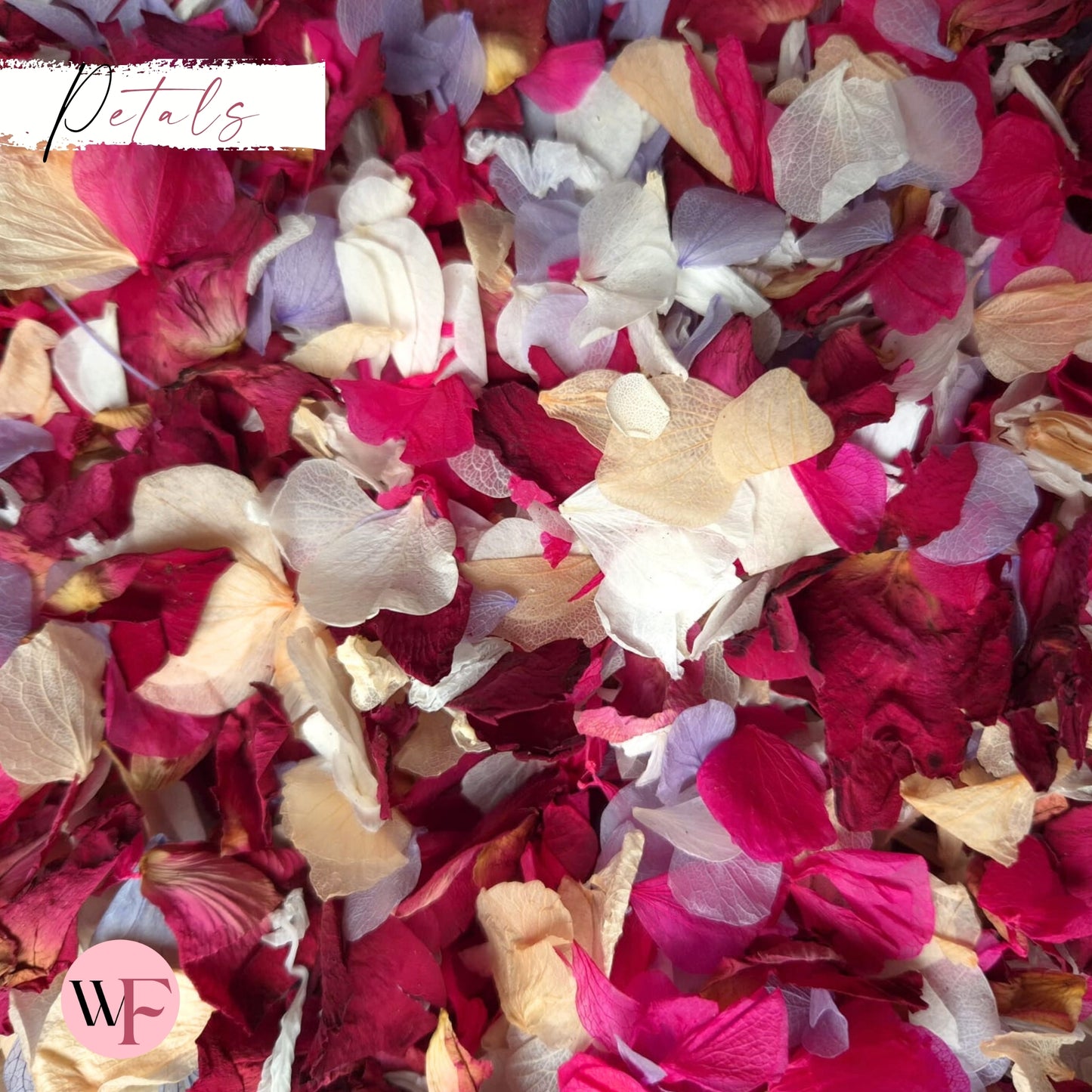 Burgundy Rose petal + Ivory white Fuschia Purple Peach Petal mix