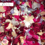 Burgundy Rose petal + Ivory white Fuschia Purple Peach Petal mix