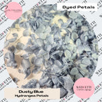 Dusty Blue hydrangea petals (Dyed)
