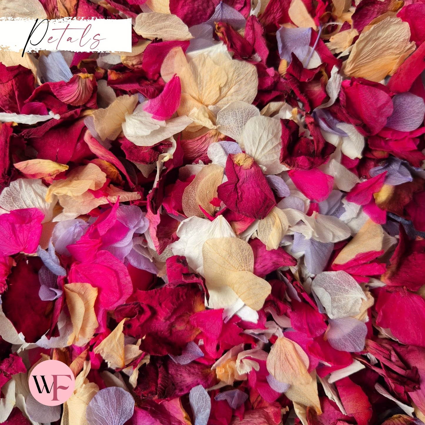 Burgundy Rose petal + Ivory white Fuschia Purple Peach Petal mix