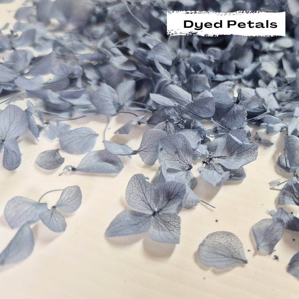 Dusty Blue hydrangea petals (Dyed)