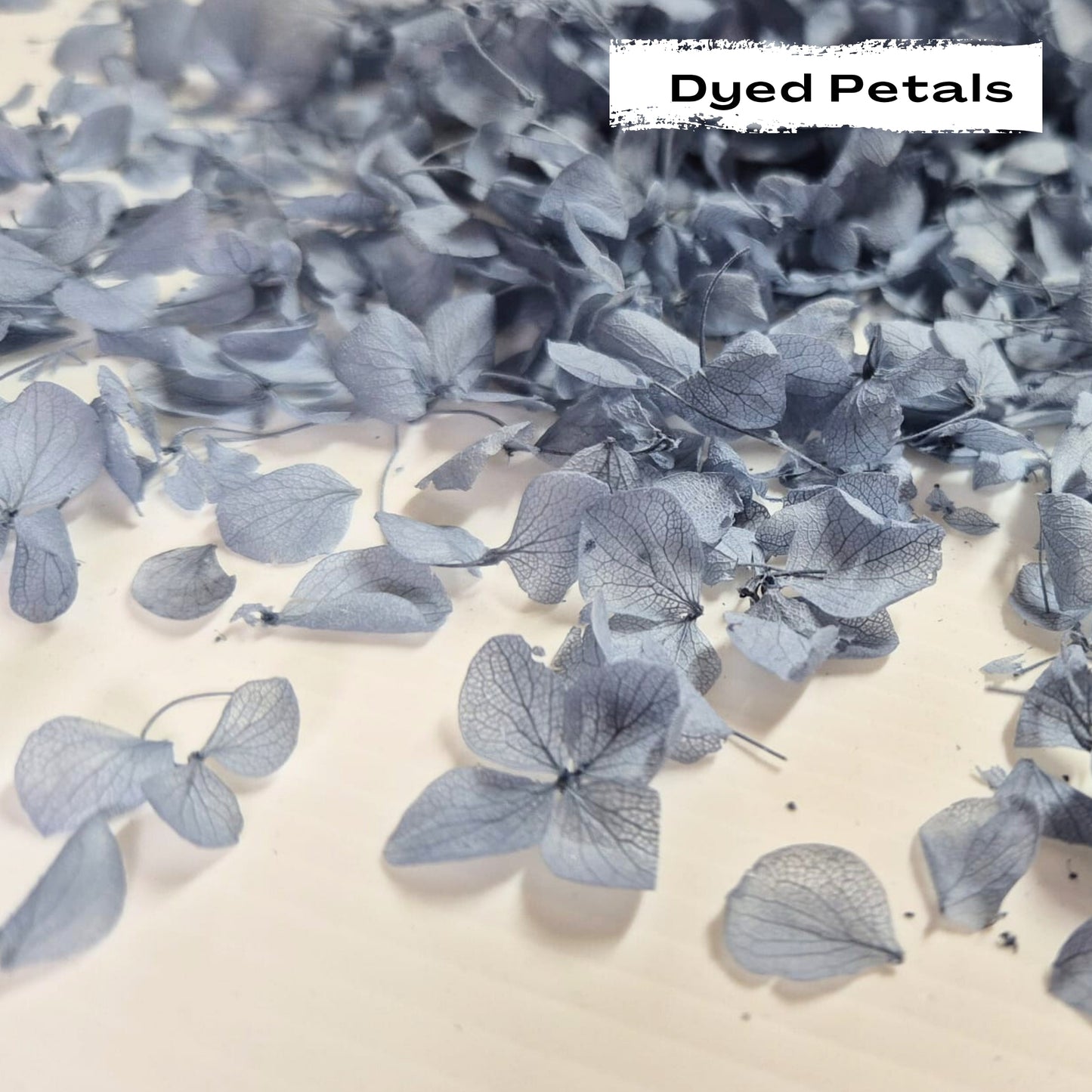 Dusty Blue hydrangea petals (Dyed)
