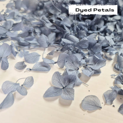 Dusty Blue hydrangea petals (Dyed)