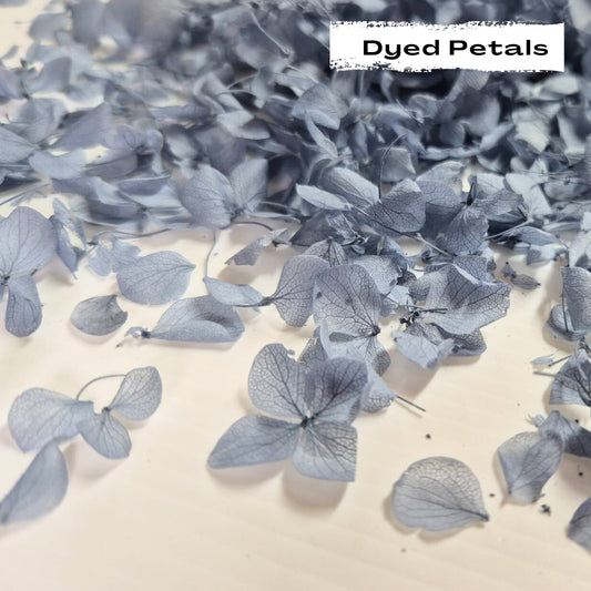 Dusty Blue hydrangea petals (Dyed)