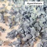 Dusty Blue hydrangea petals (Dyed)