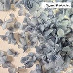 Dusty Blue hydrangea petals (Dyed)
