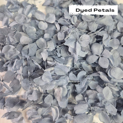 Dusty Blue hydrangea petals (Dyed)