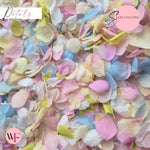 Petal Confetti - Pastel Party White