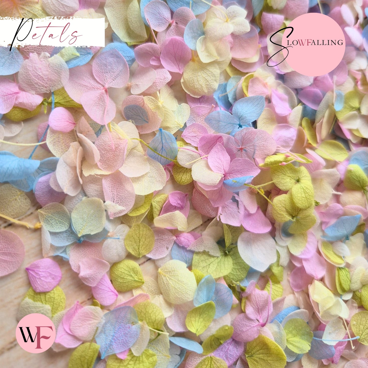 Petal Confetti - Pastel Party White