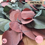 Fragrant large Eucalyptus Leaves