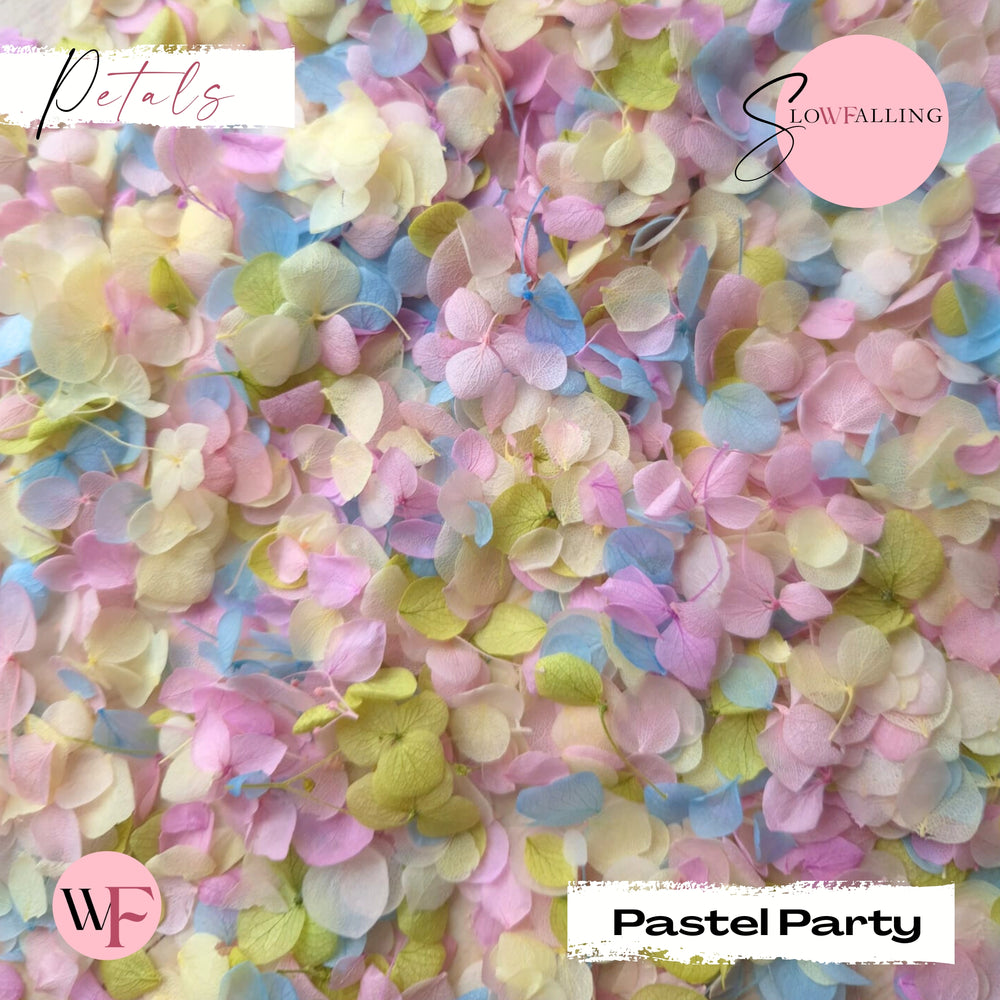 Petal Confetti - Pastel Party