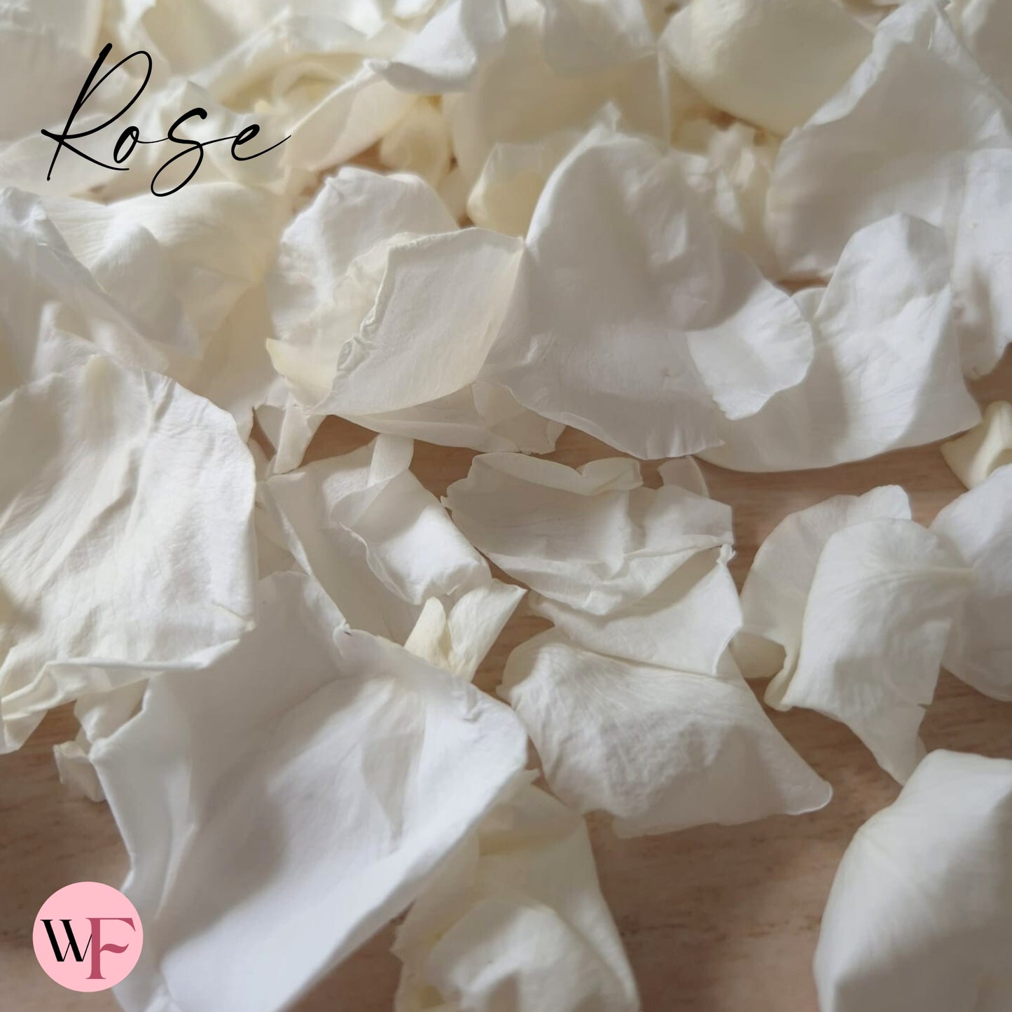 Rose Petals - Light Ivory White