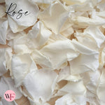 Rose Petals - Light Ivory White