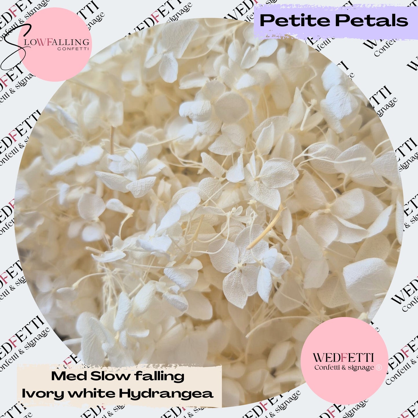 White Ivory hydrangea petals