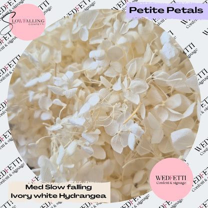 White Ivory hydrangea petals