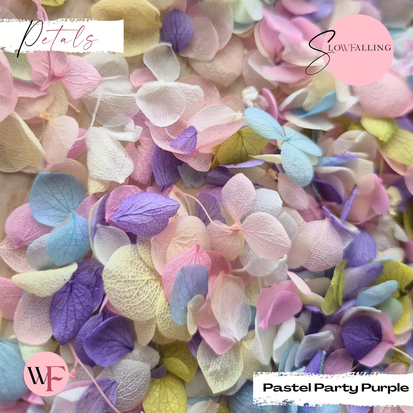 Petal Confetti - Pastel Party Purple