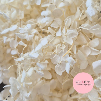 White Ivory hydrangea petals