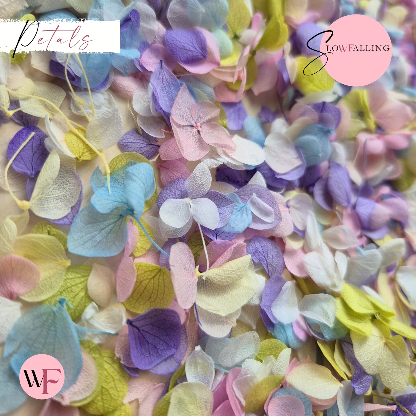 Petal Confetti - Pastel Party Purple