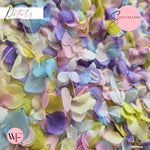 Petal Confetti - Pastel Party Purple