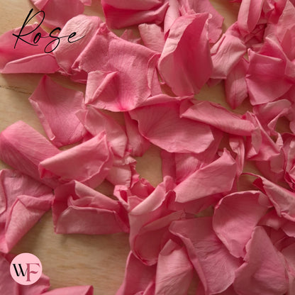 Rose Petals - Rose Pink