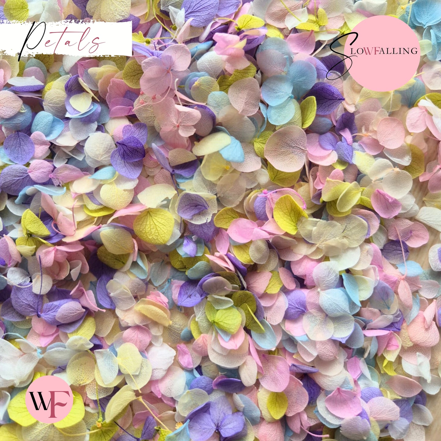 Petal Confetti - Pastel Party Purple