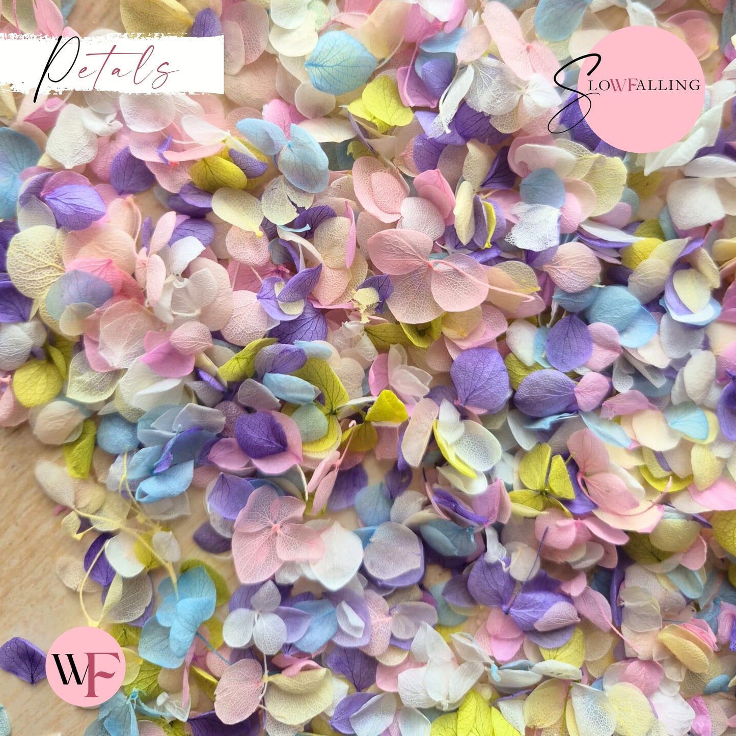 Petal Confetti - Pastel Party Purple