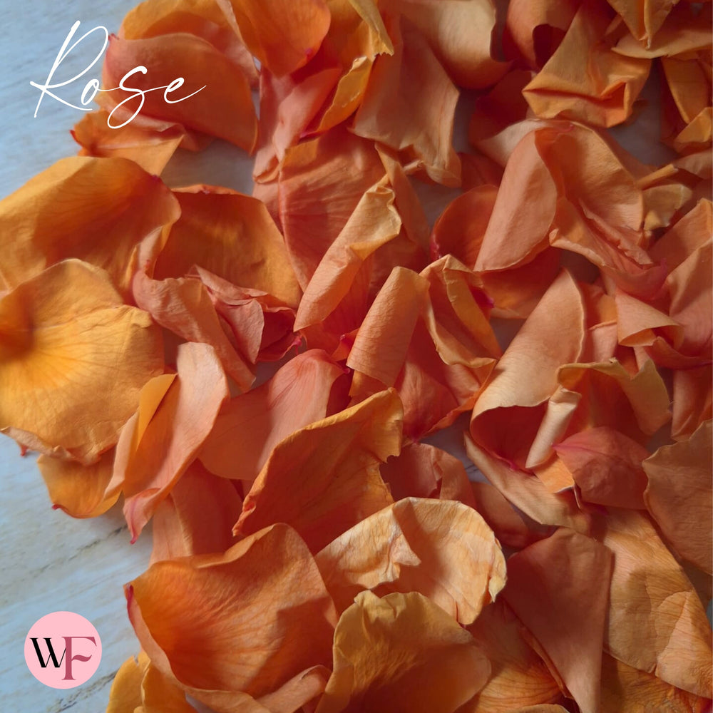 Rose Petals - Burnt Orange