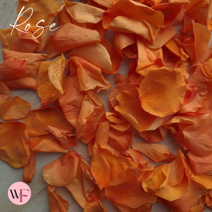 Rose Petals - Burnt Orange