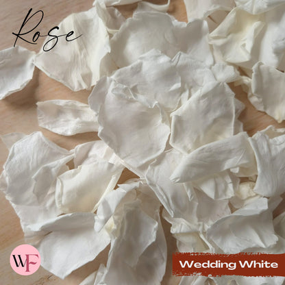 Rose Petals - Wedding White