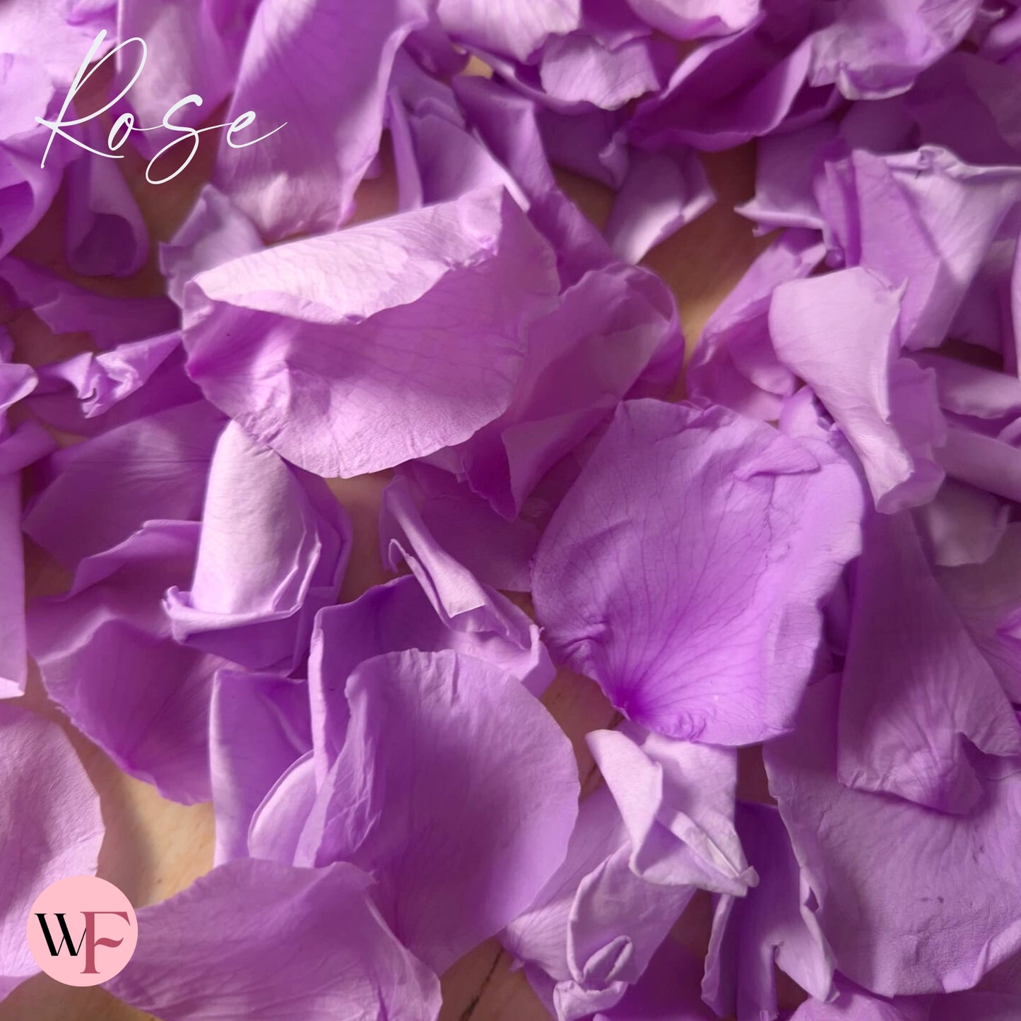 Rose Petals - Purple