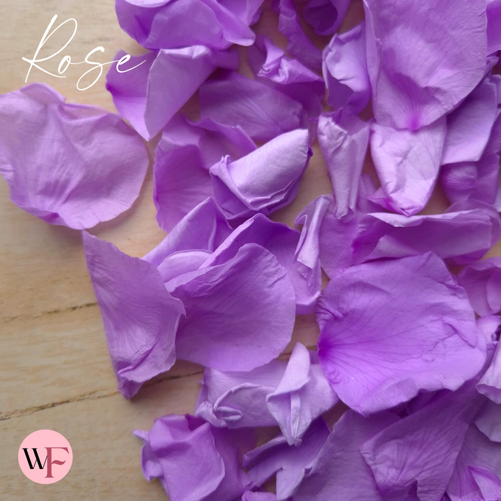Rose Petals - Purple