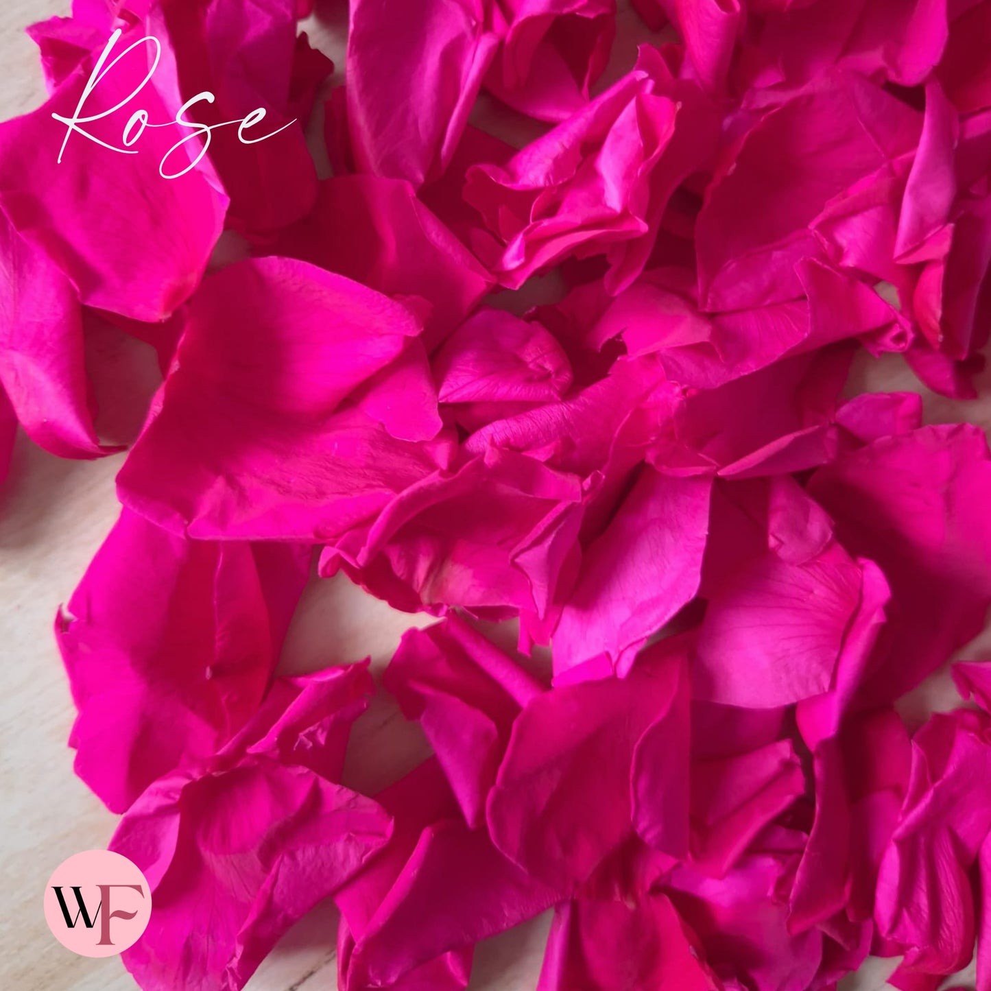 Rose Petals - Fuschia Pink