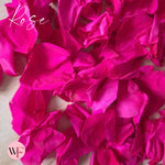 Rose Petals - Fuschia Pink