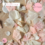 Petal Confetti hydrangea - Pink White