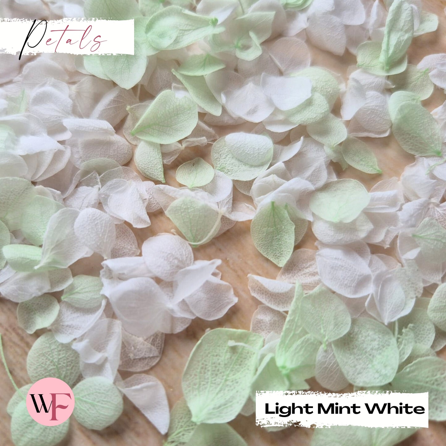 Snow Petal Confetti - Light Mint White