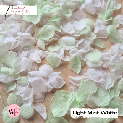 Snow Petal Confetti - Light Mint White