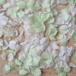 Snow Petal Confetti - Light Mint White