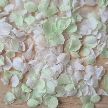 Snow Petal Confetti - Light Mint White