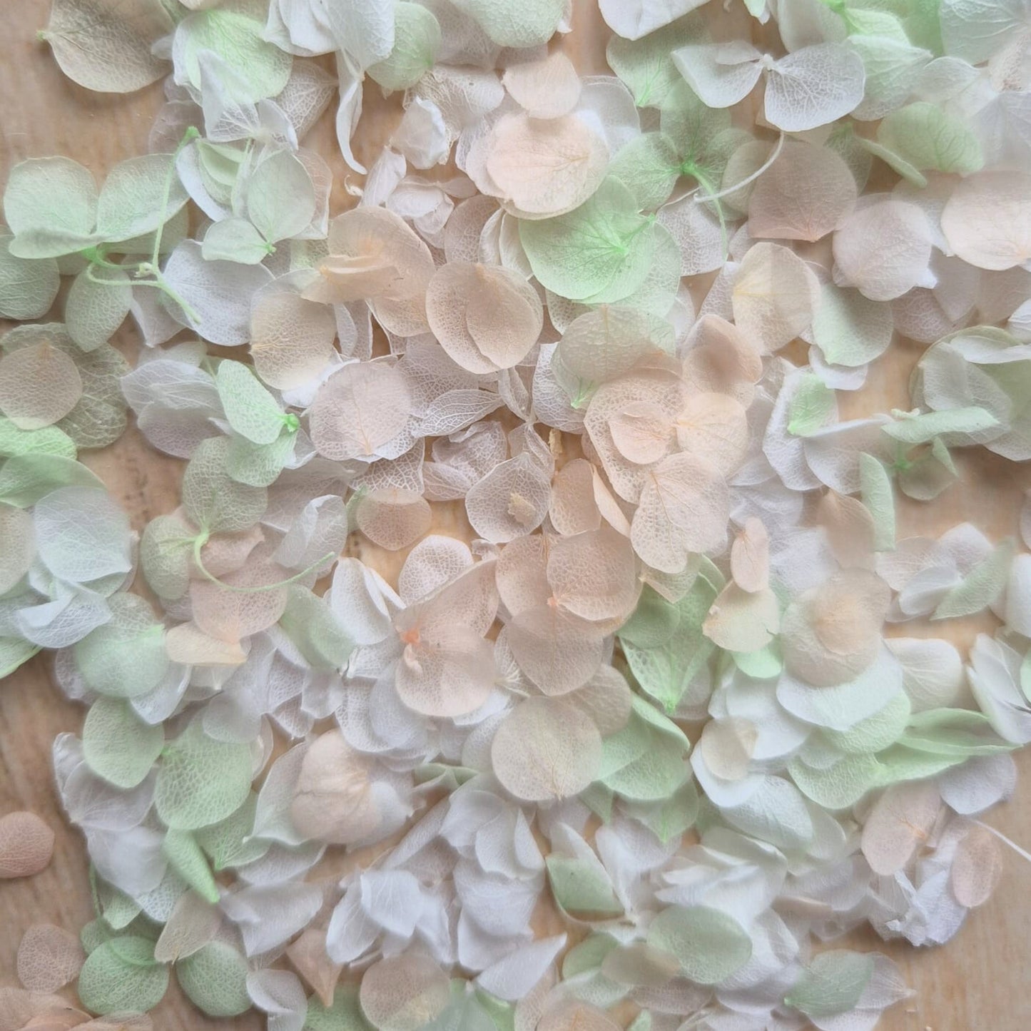 Snow Petal Confetti - Light Mint Peach White